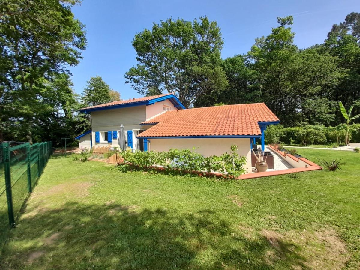 La Clairiere Du Seignanx Bed & Breakfast Saint-Martin-de-Seignanx Exterior photo
