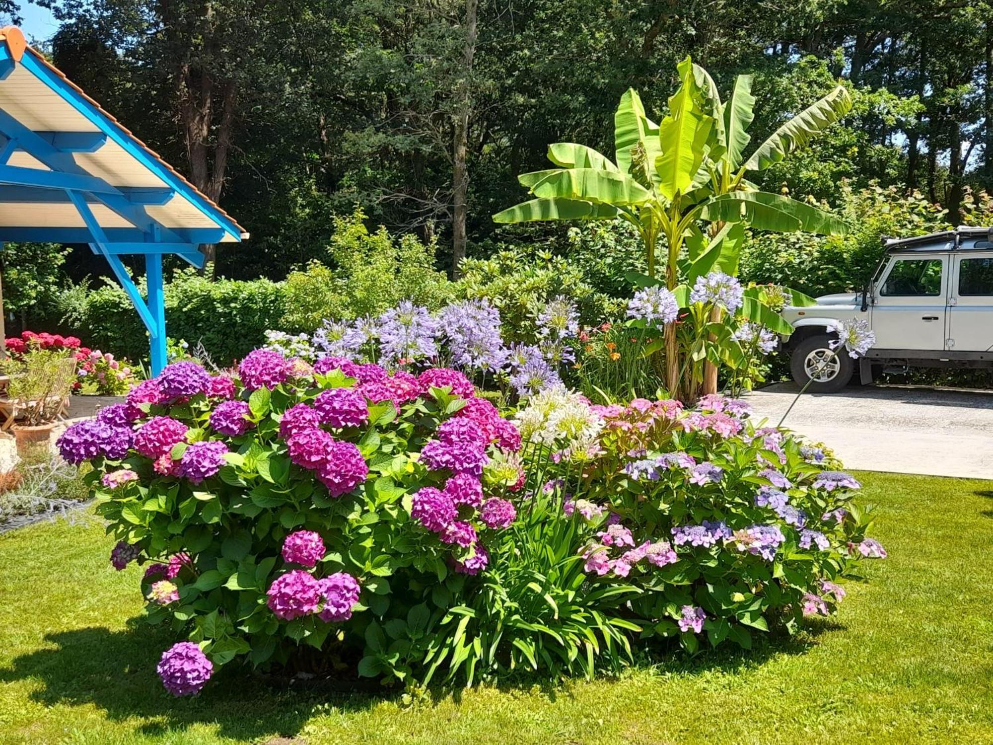 La Clairiere Du Seignanx Bed & Breakfast Saint-Martin-de-Seignanx Exterior photo
