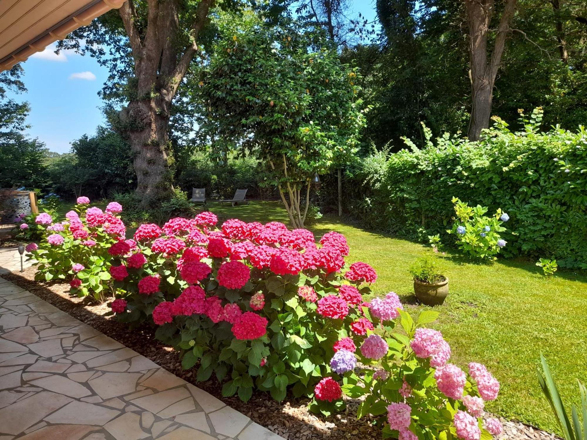 La Clairiere Du Seignanx Bed & Breakfast Saint-Martin-de-Seignanx Exterior photo